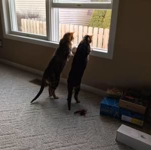 Meet your Posher, Donna